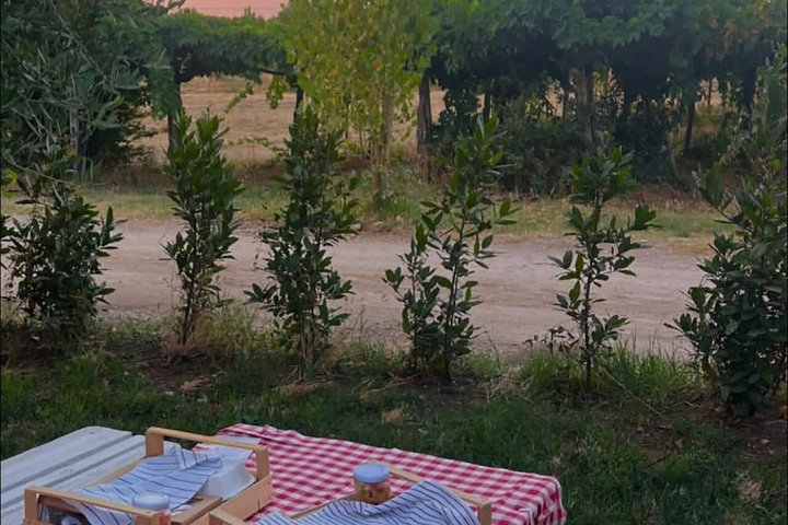 Picnic in the Moonlight on the Costa dei Trabocchi