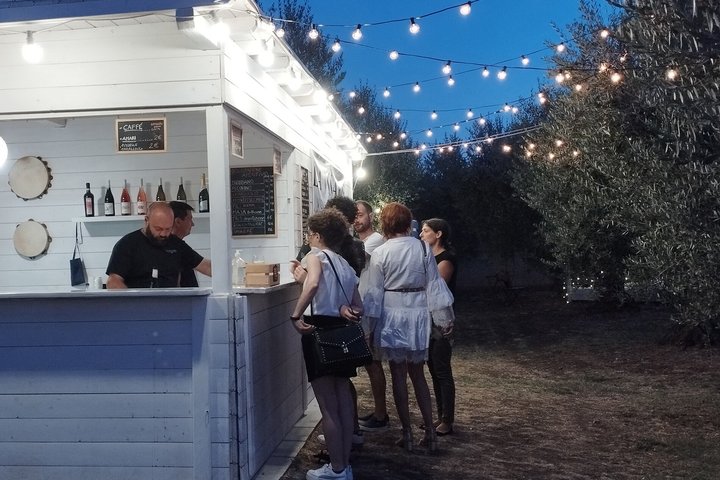 Wine Tasting and Guided Visit to the Vineyard and Cellar in S. Maria Imbaro