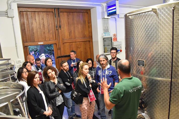 Wine Tasting and Guided Visit to the Vineyard and Cellar in S. Maria Imbaro