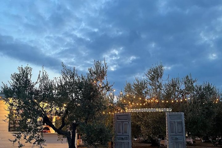 Wine Tasting and Guided Visit to the Vineyard and Cellar in S. Maria Imbaro
