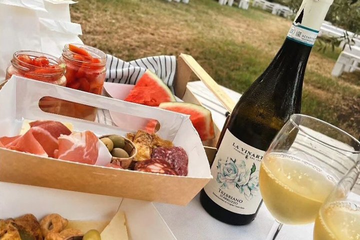 Wine Tasting and Guided Visit to the Vineyard and Cellar in S. Maria Imbaro