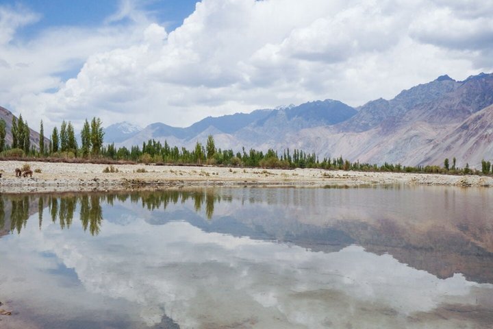 6 Days Private Ladakh Tour Nubra Pangong and Khardung La Pass
