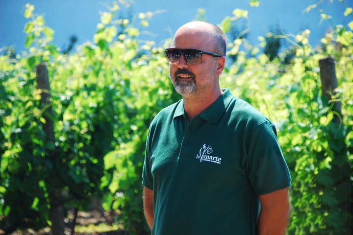 Wine Tasting and Guided Visit to the Vineyard and Cellar in S. Maria Imbaro