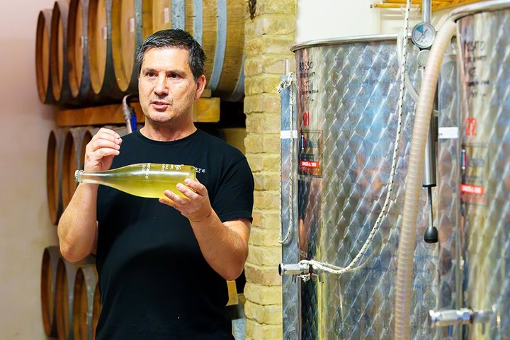 Wine Tasting and Guided Visit to the Vineyard and Cellar in S. Maria Imbaro