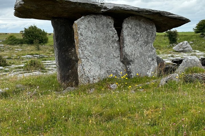 Luxury Cliffs of Moher and Burren Private Tour from Galway