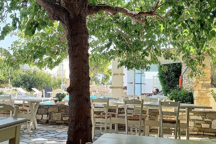 Maria's Open Cooking Class lessons in Delux hotel of Paros