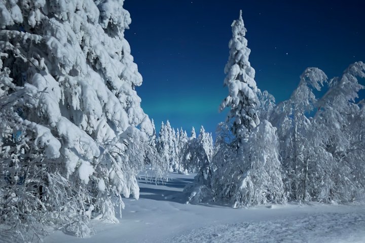 Arctic Survival Mission Arctic Wilderness Challenge