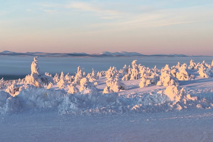 Arctic Survival Mission Arctic Wilderness Challenge