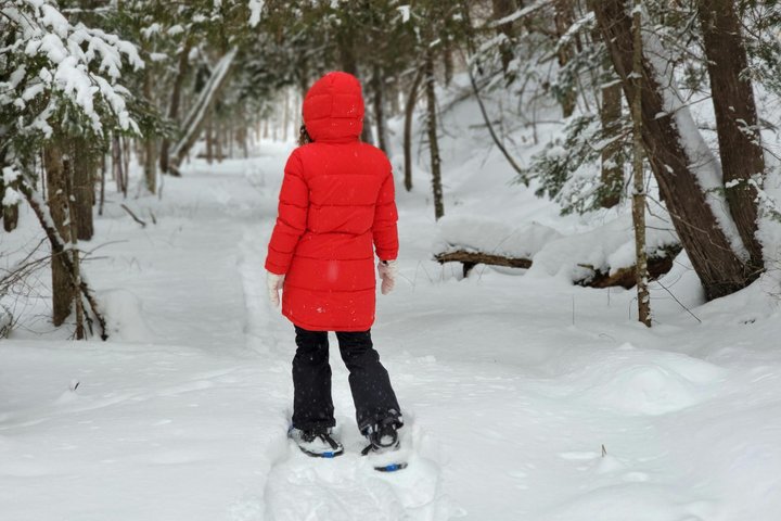 Arctic Survival Mission Arctic Wilderness Challenge