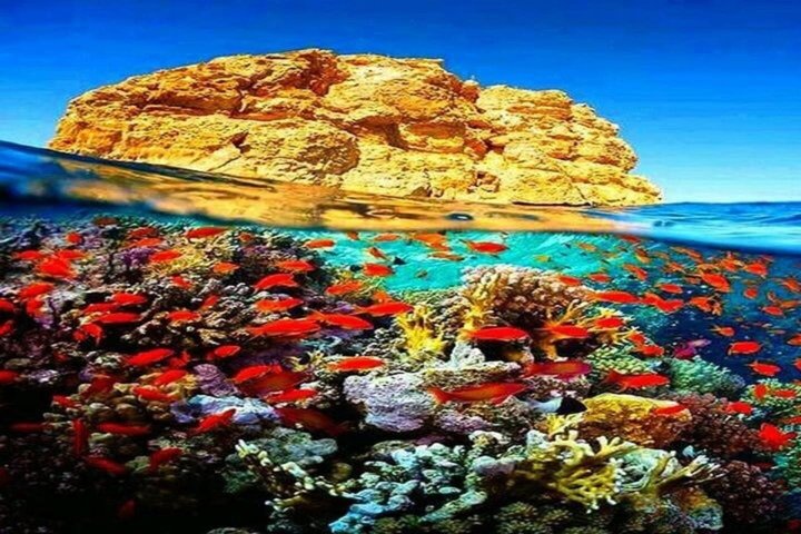 Ras Mohammed & White Island Snorkeling & Diving – Sharm El Sheikh