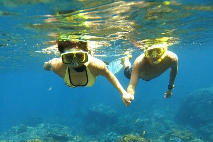 Ras Mohammed & White Island Snorkeling & Diving – Sharm El Sheikh