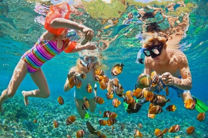 Ras Mohammed & White Island Snorkeling & Diving – Sharm El Sheikh