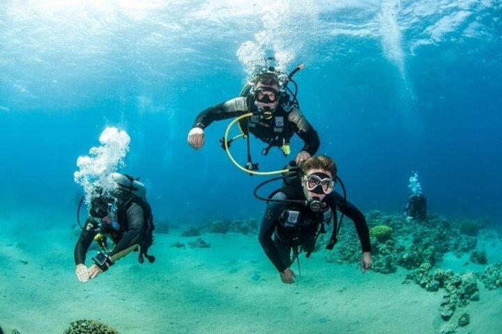 Ras Mohammed & White Island Snorkeling & Diving – Sharm El Sheikh