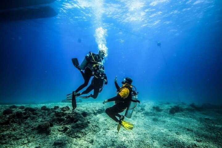 Ras Mohammed & White Island Snorkeling & Diving – Sharm El Sheikh
