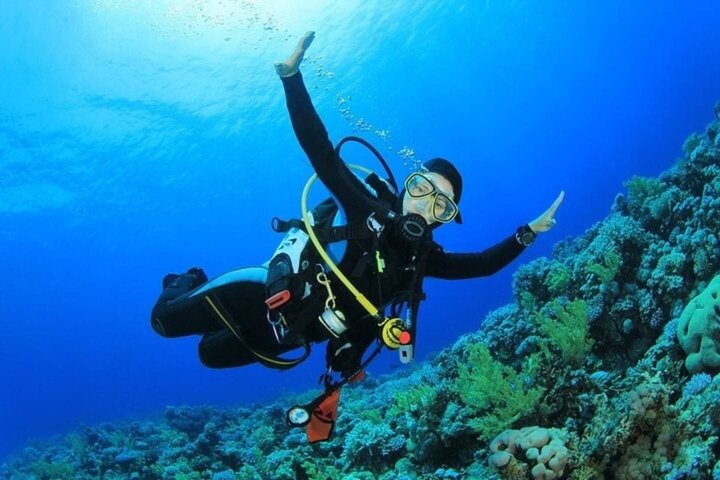 Ras Mohammed & White Island Snorkeling & Diving – Sharm El Sheikh
