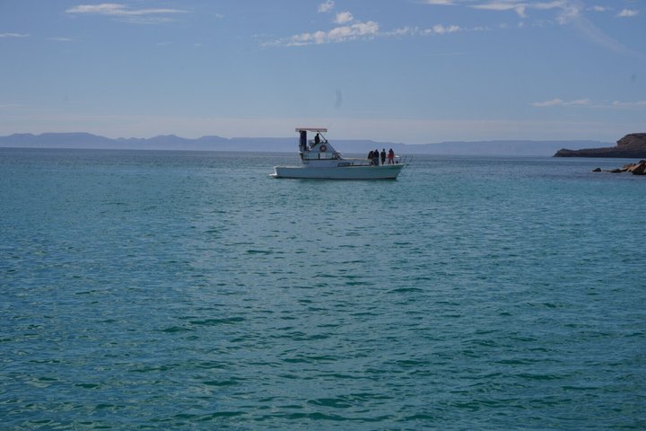 BOAT to Espiritu Santo Island and Balandra