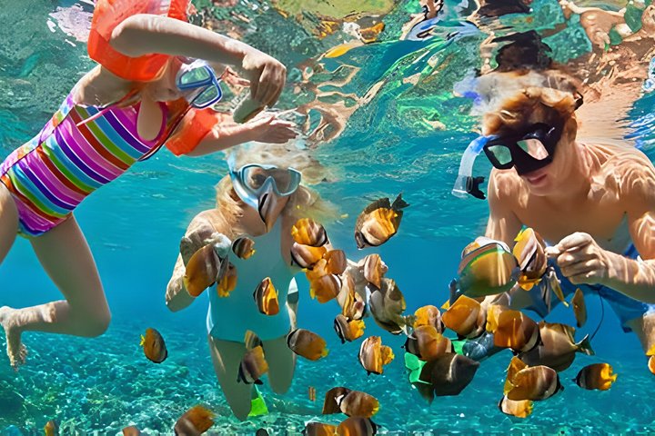 Snorkeling In Nusa Penida Island With Manta Ray From Bali