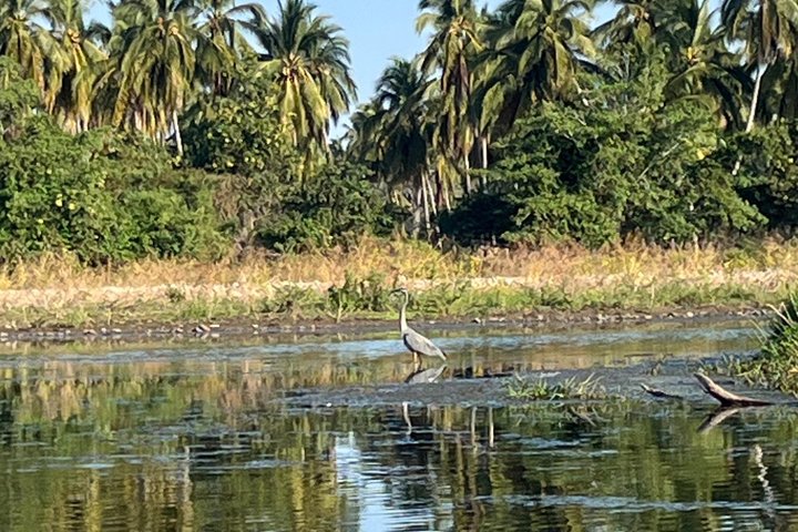 Kayaking in San Jose Ixtapa Lagoon with Luis de la Maza