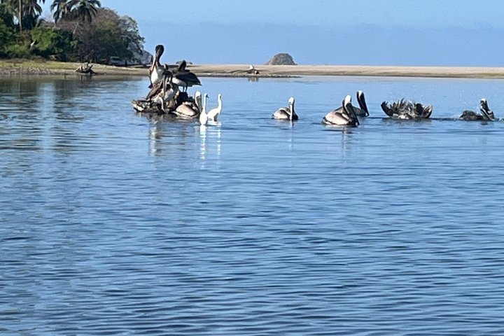 Kayaking in San Jose Ixtapa Lagoon with Luis de la Maza