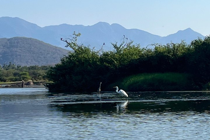 Kayaking in San Jose Ixtapa Lagoon with Luis de la Maza