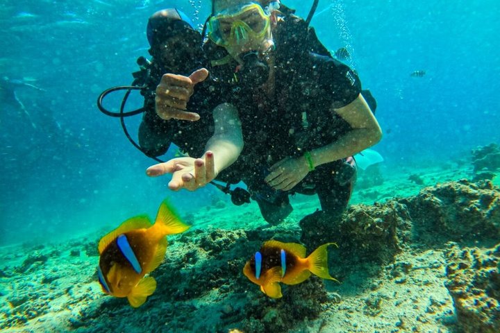 Luxury Yacht: Ras Mohammed & White Island, Lunch & Snorkel