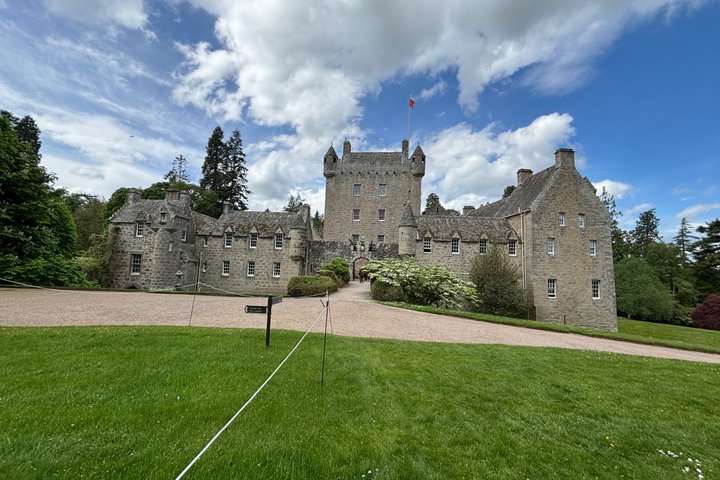 Invergordon Private Sheepdogs, Highland cows and Castle Tour