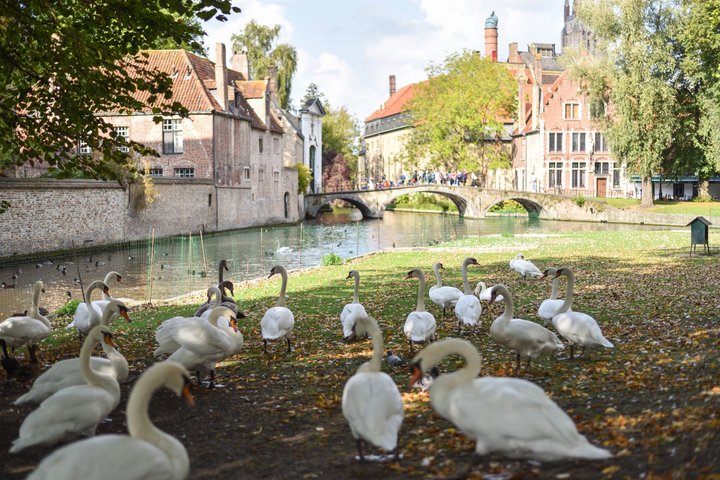 Bruges and Ghent by small group train with boat ride