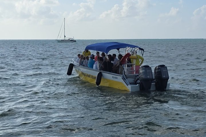 Full-Day Snorkel at Hol Chan, Shark Ray & More; San Pedro Belize