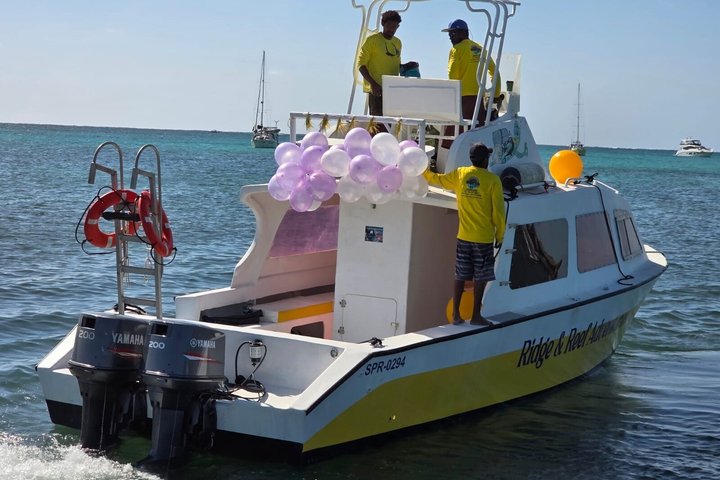Full-Day Snorkel at Hol Chan, Shark Ray & More; San Pedro Belize