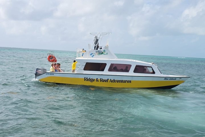 Full-Day Snorkel at Hol Chan, Shark Ray & More; San Pedro Belize