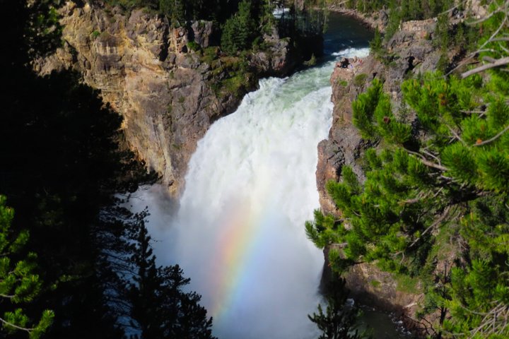 Grand Canyon of the Yellowstone Rim and Loop Hike with Lunch