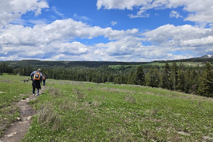 Grand Canyon of the Yellowstone Rim and Loop Hike with Lunch