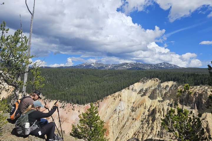 Grand Canyon of the Yellowstone Rim and Loop Hike with Lunch