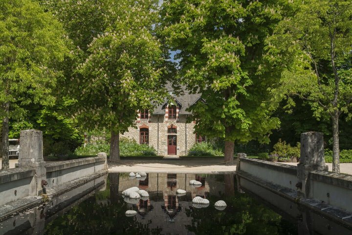 Hello Blois: Private 2-Hour Intro City Walk with Local Guide