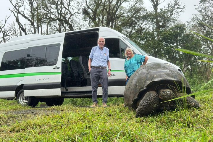Santa Cruz Craters and Tunnels Tour of Lava and Turtles
