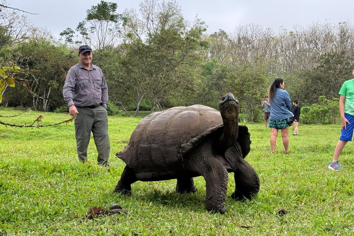 Santa Cruz Craters and Tunnels Tour of Lava and Turtles