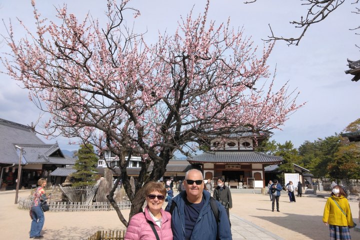 Hiroshima Cruise Pickup : Miyajima & Peace Park Tour with car