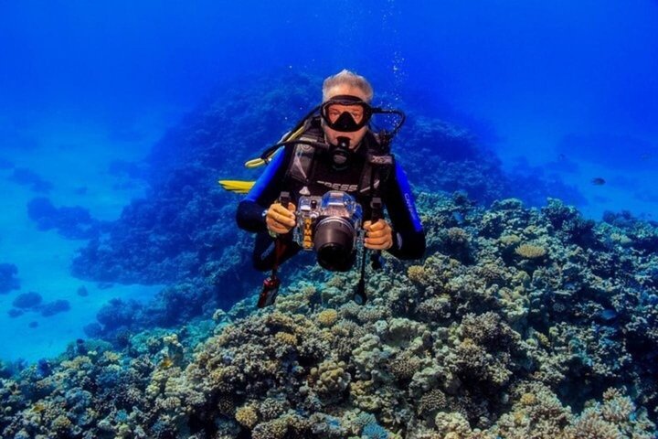 Tiran Island Snorkeling , Diving Cruise & Lunch - Sharm El Sheikh