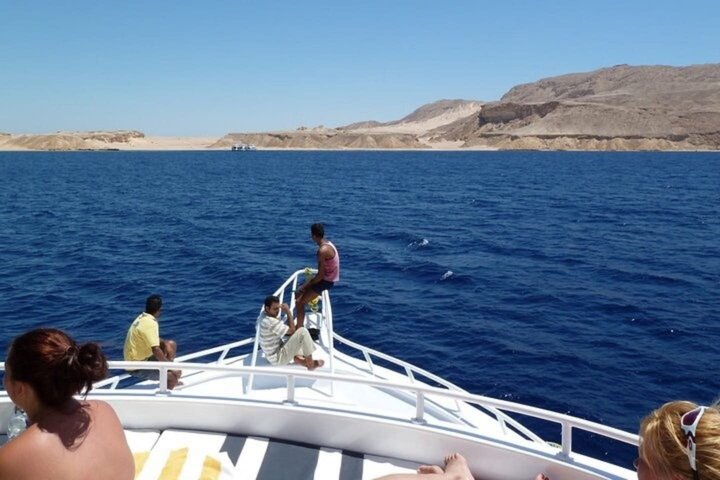 Tiran Island Snorkeling , Diving Cruise & Lunch - Sharm El Sheikh