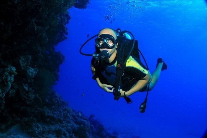 Tiran Island Snorkeling , Diving Cruise & Lunch - Sharm El Sheikh