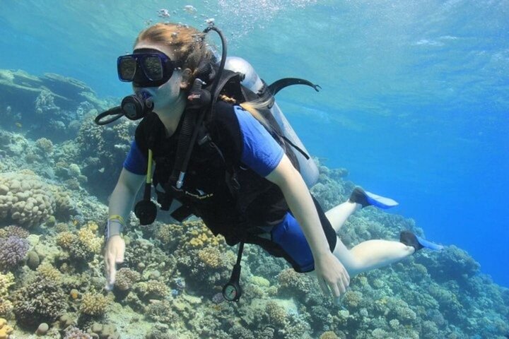 Tiran Island Snorkeling , Diving Cruise & Lunch - Sharm El Sheikh