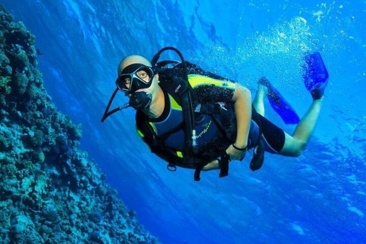 Tiran Island Snorkeling , Diving Cruise & Lunch - Sharm El Sheikh