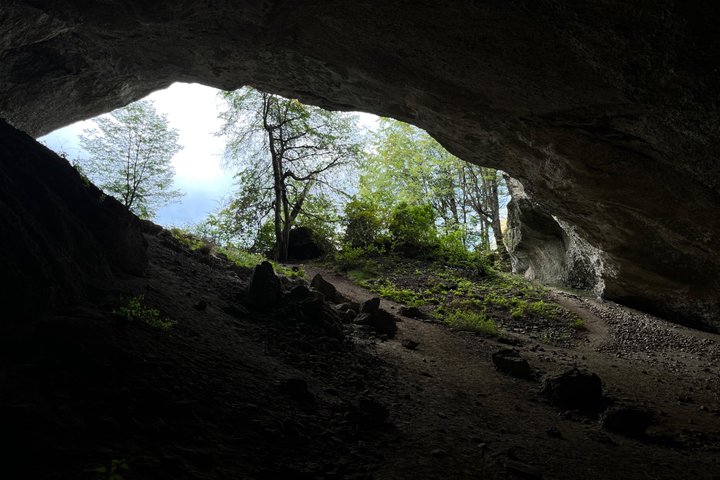 Excursion to Milodon Cave from Puerto Natales