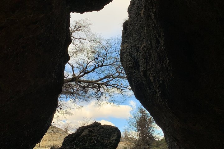 Excursion to Milodon Cave from Puerto Natales