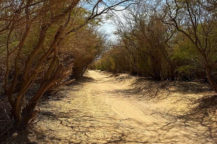 Boa Vista Grand Canyon Hidden Beaches Shipwreck Adventure