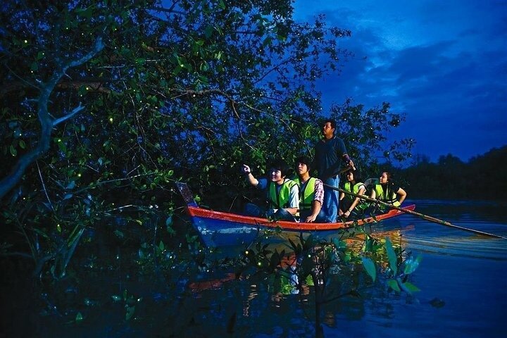 Private Batu Cave, Feed Silver Monkeys and Thousands of Fireflies