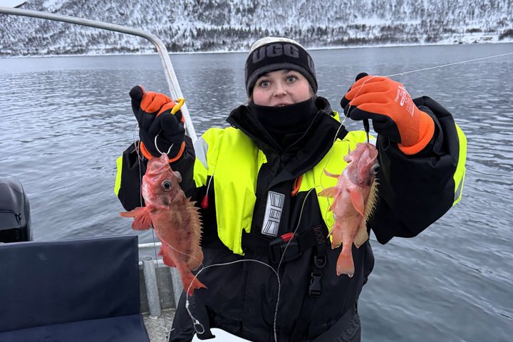 Private Fishing Tour Tromso Open Boat