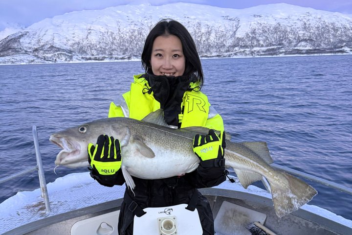 Private Fishing Tour Tromso Open Boat