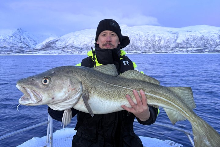 Private Fishing Tour Tromso Open Boat