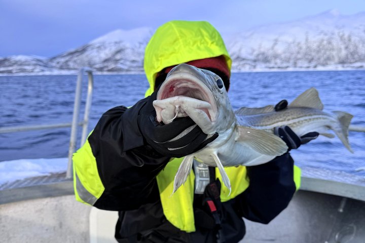 Private Fishing Tour Tromso Open Boat